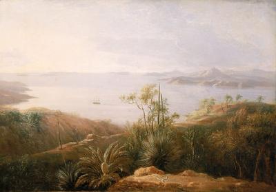 William Westall A Bay on the South Coast of New Holland oil painting picture